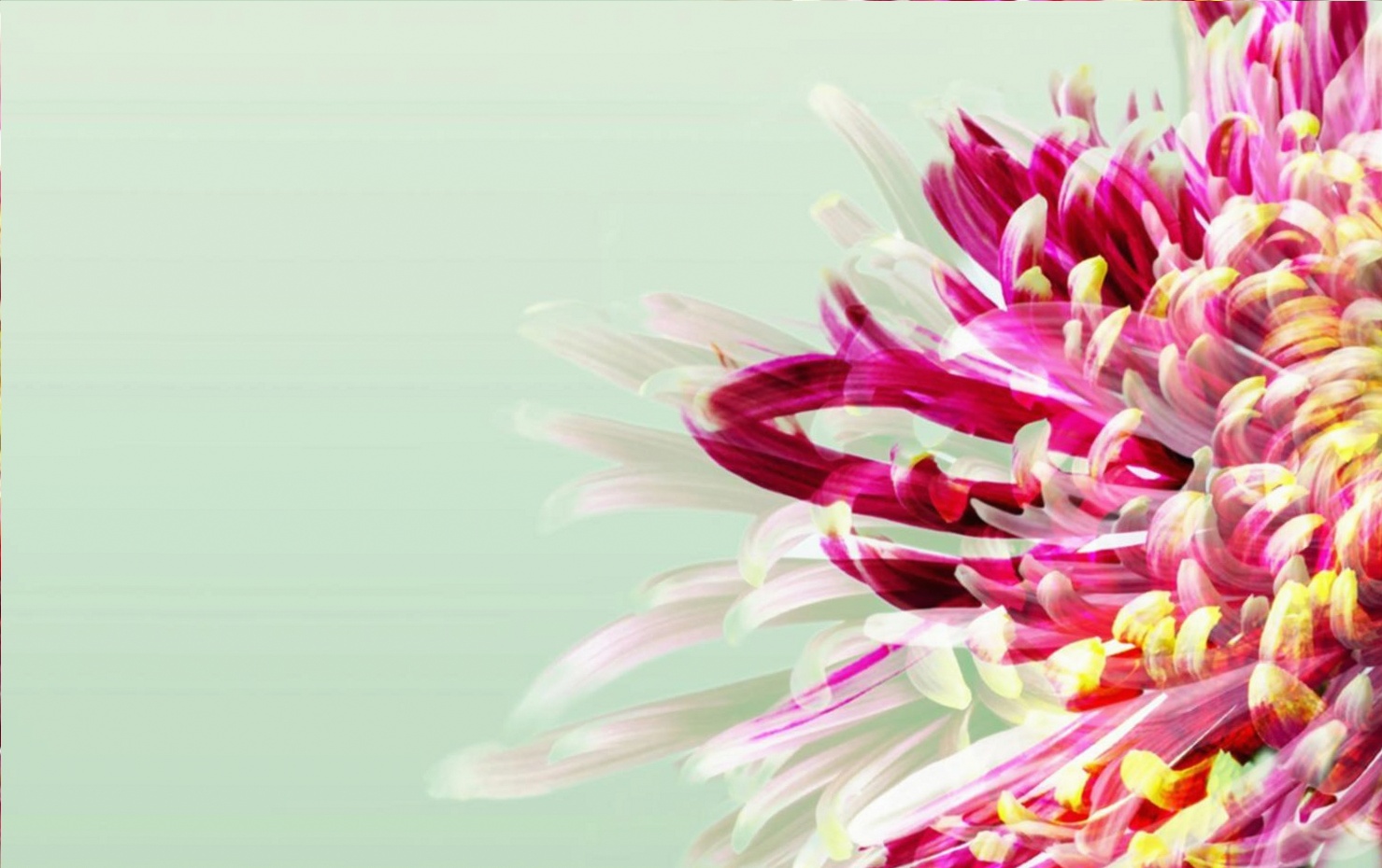 Floral arrangement being prepared for an event